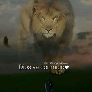 Meet your Posher, Antonio